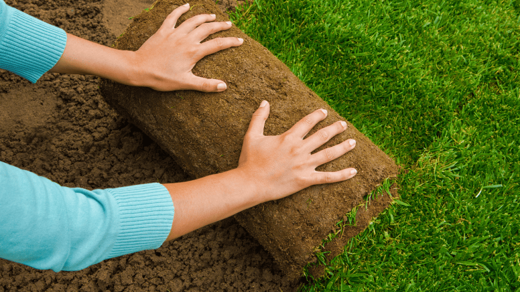 Cost of Sod Installation in Calgary